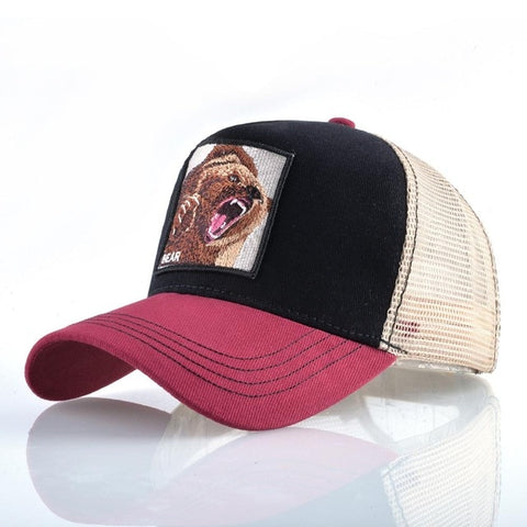 Bear Multi-color Cap - Hatdeck