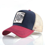 Zebra Multi-color Cap - Hatdeck